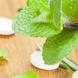Herbs & Medicinal Products